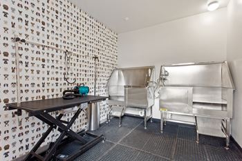 A room with a table and chairs and a wallpapered wall.